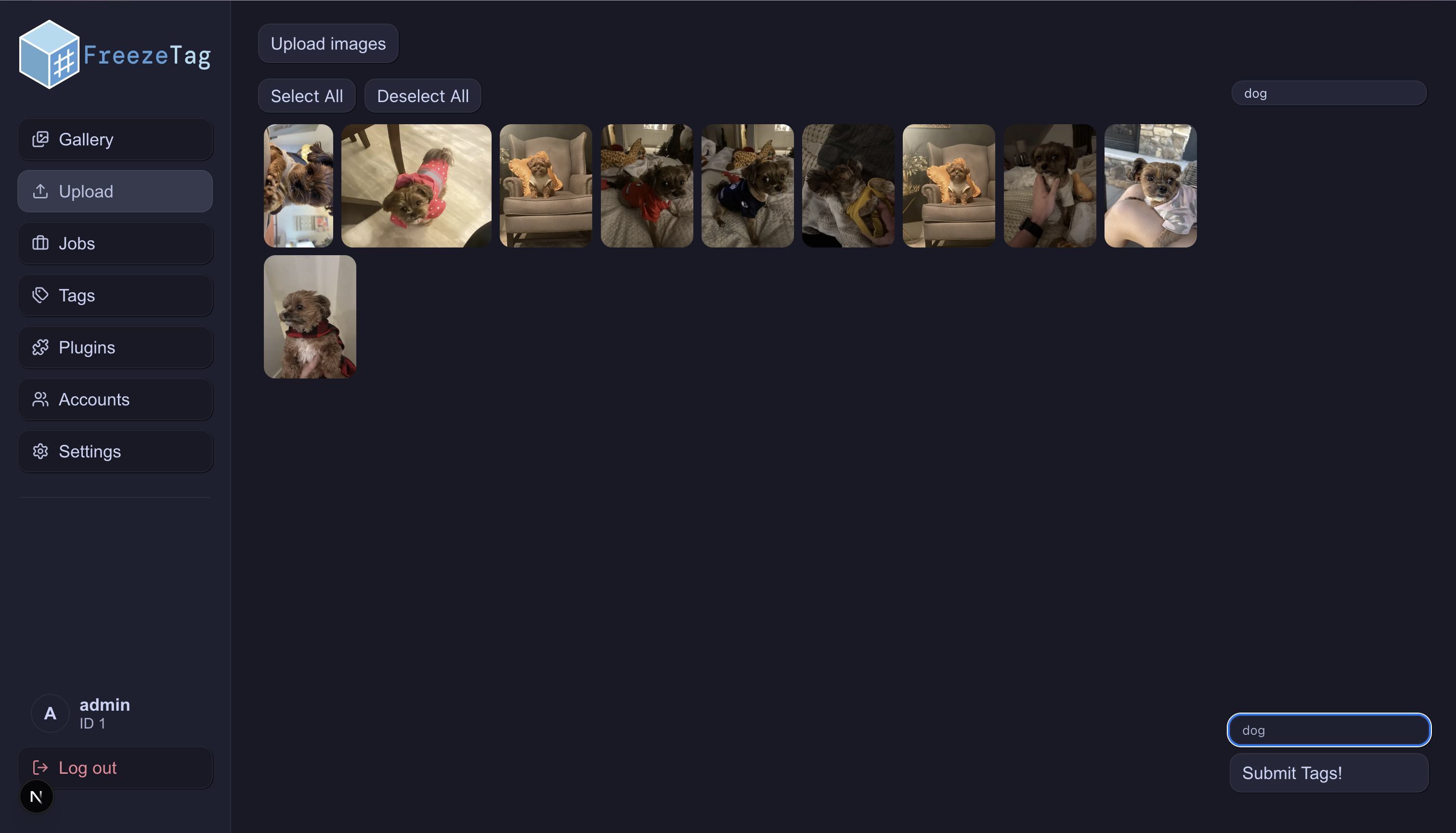 Example of the Upload Page