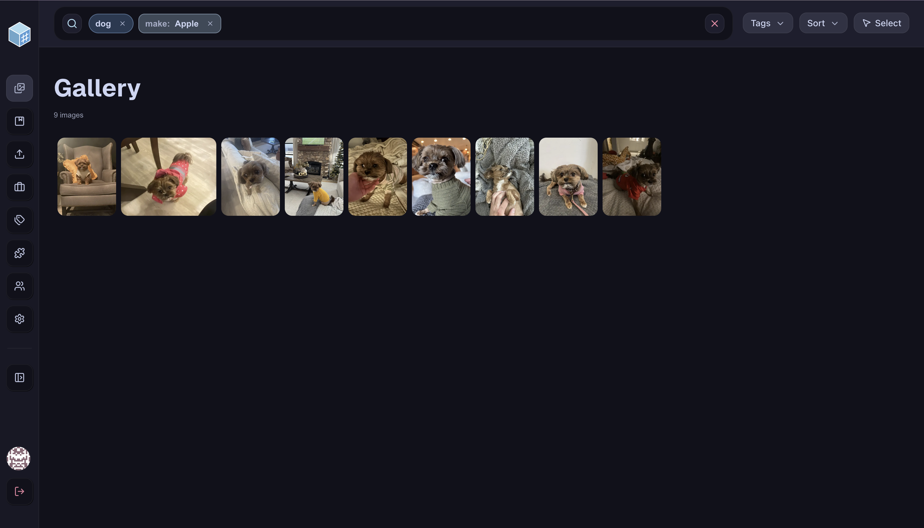 Searching Images